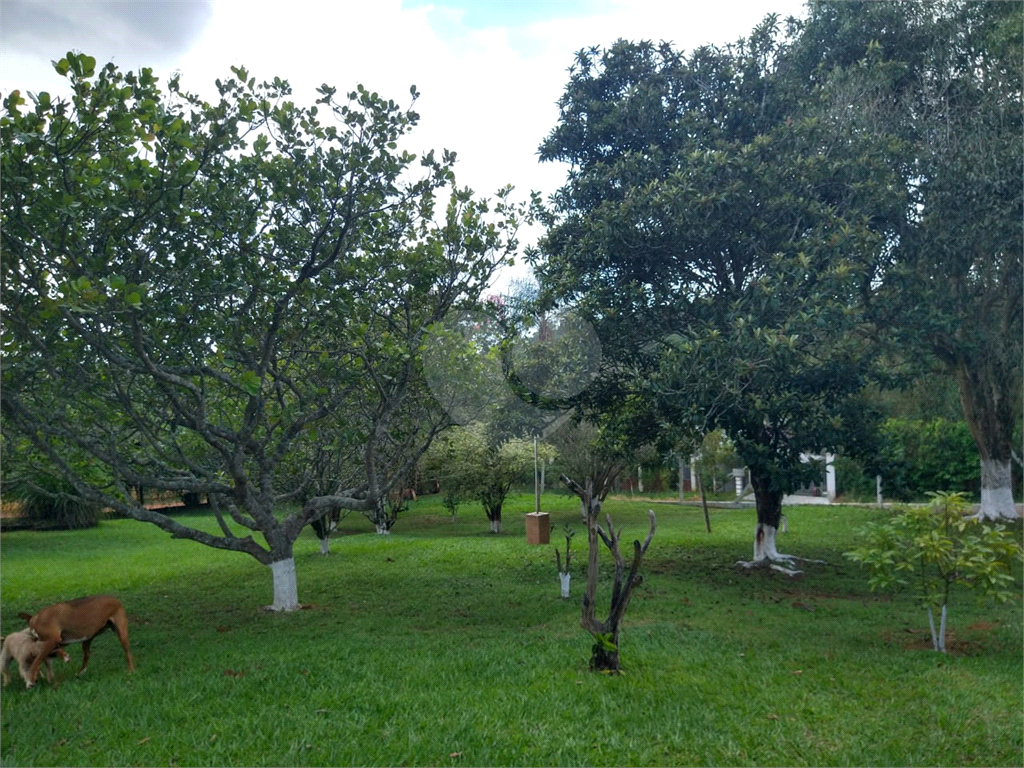 Chácara à venda com 3 quartos, 6000m² - Foto 164
