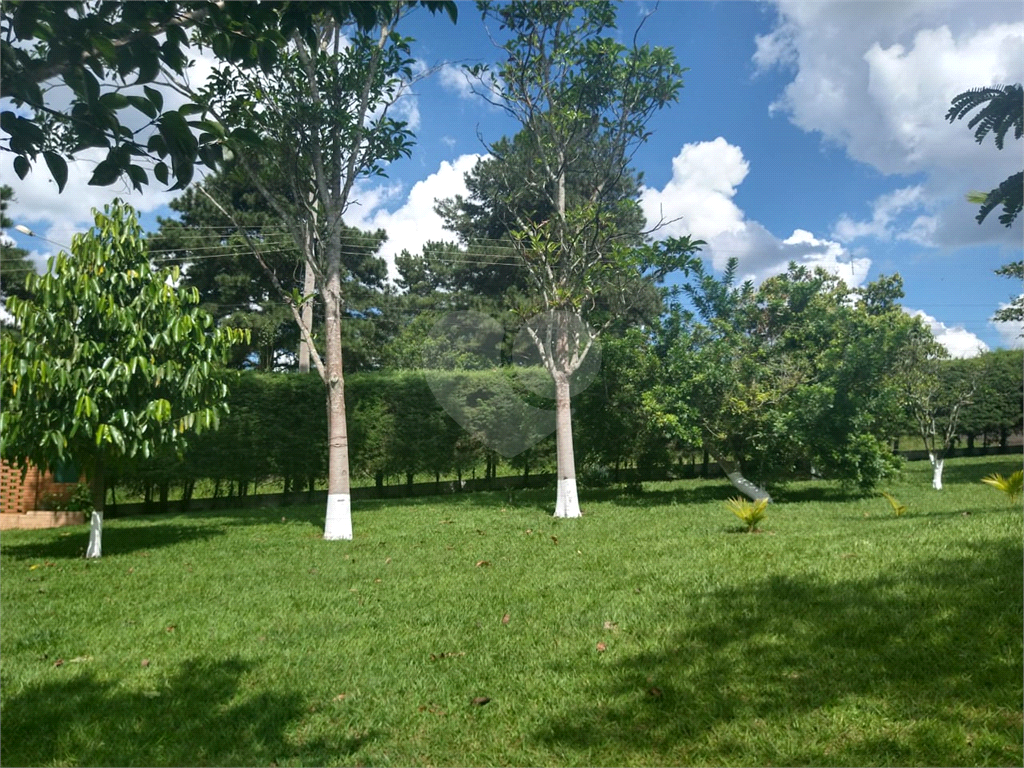 Chácara à venda com 3 quartos, 6000m² - Foto 122