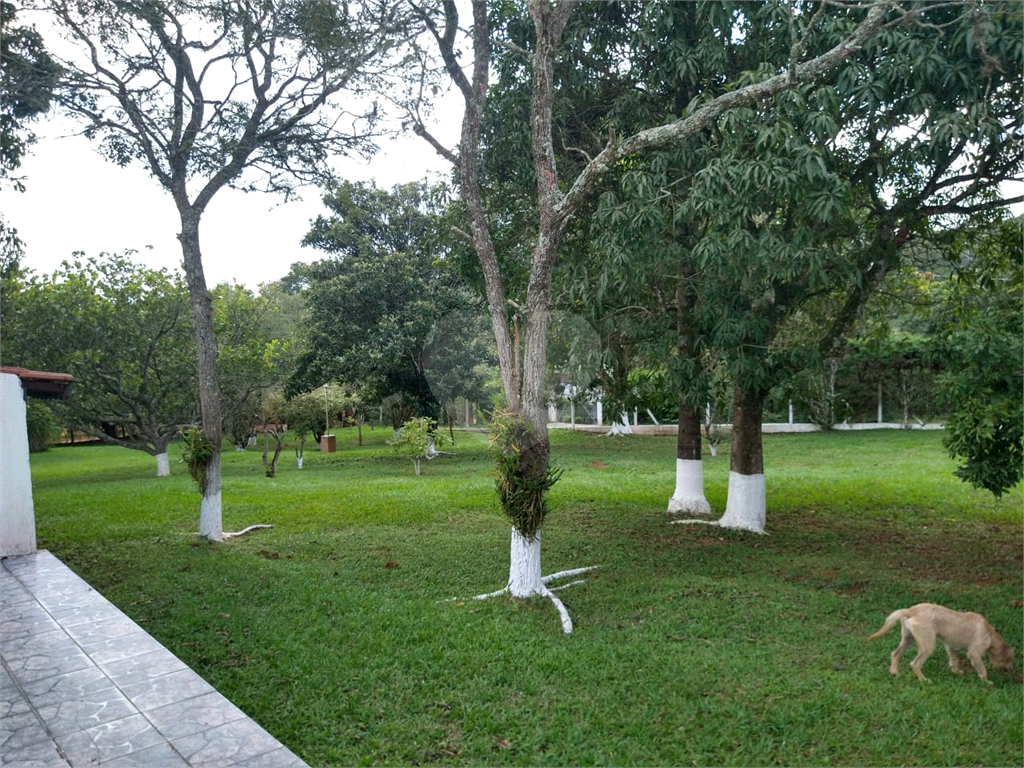Chácara à venda com 3 quartos, 6000m² - Foto 180