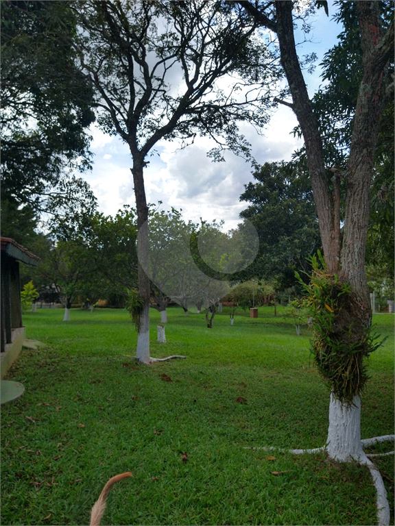 Chácara à venda com 3 quartos, 6000m² - Foto 165