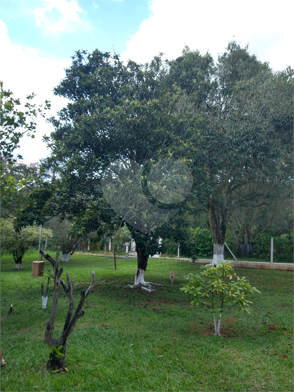 Chácara à venda com 3 quartos, 6000m² - Foto 161