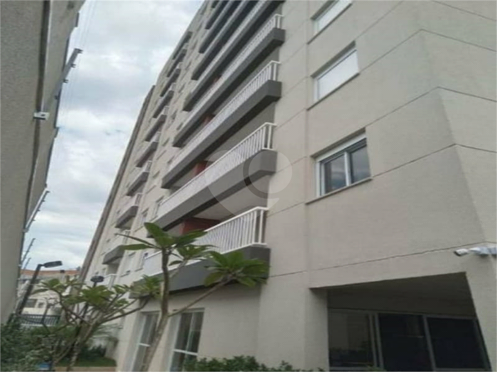 Apto 1 dorm Jabaquara