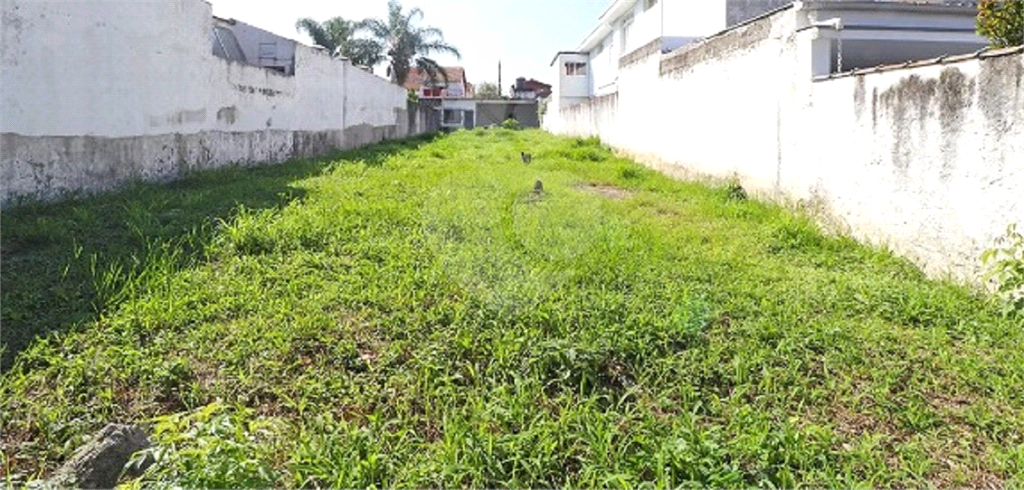TERRENO em JABAQUARA