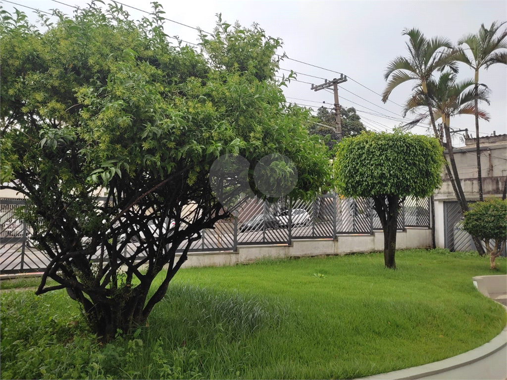 Cobertura com 3 Quartos na Vila Maria