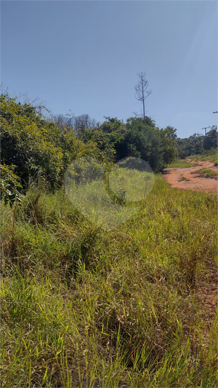 Terreno à venda, 1000m² - Foto 3