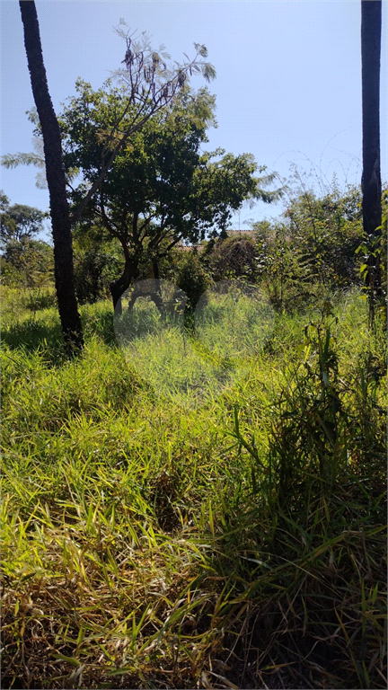 Terreno à venda, 1000m² - Foto 2