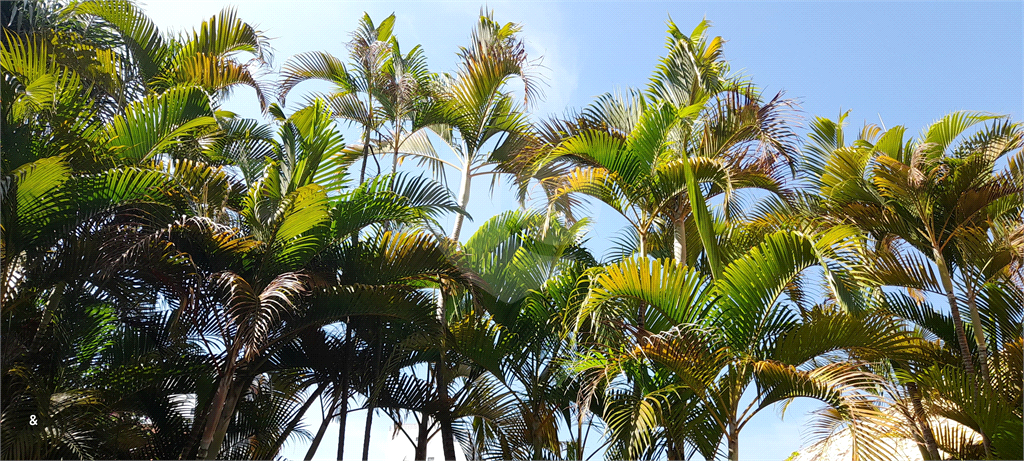Sobrado para venda com 400 m² com 4 quartos em Real Parque