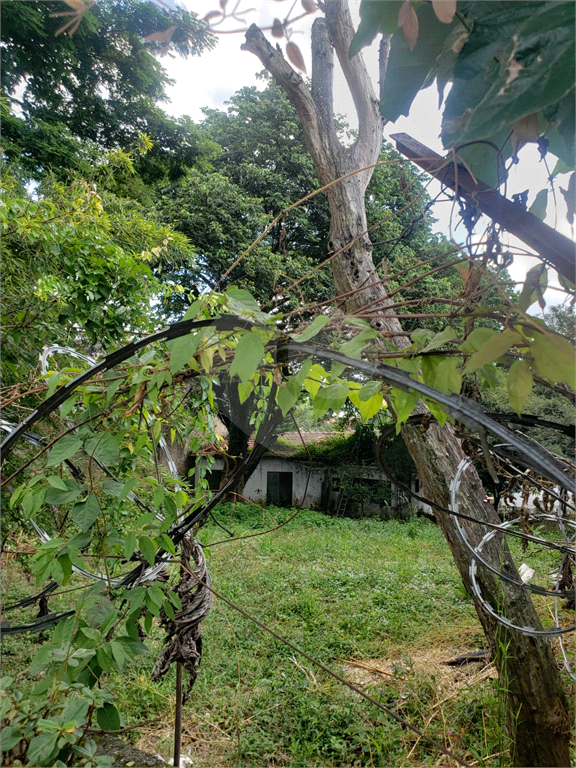 TERRENO em TREMEMBÉ