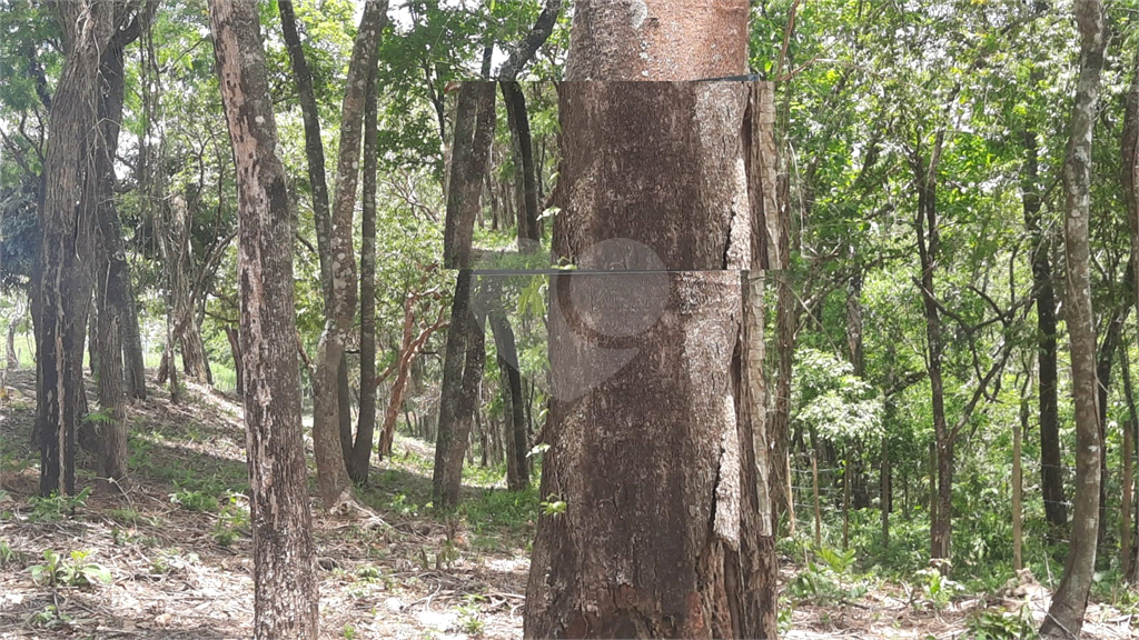 Terreno, 3150 m² - Foto 6