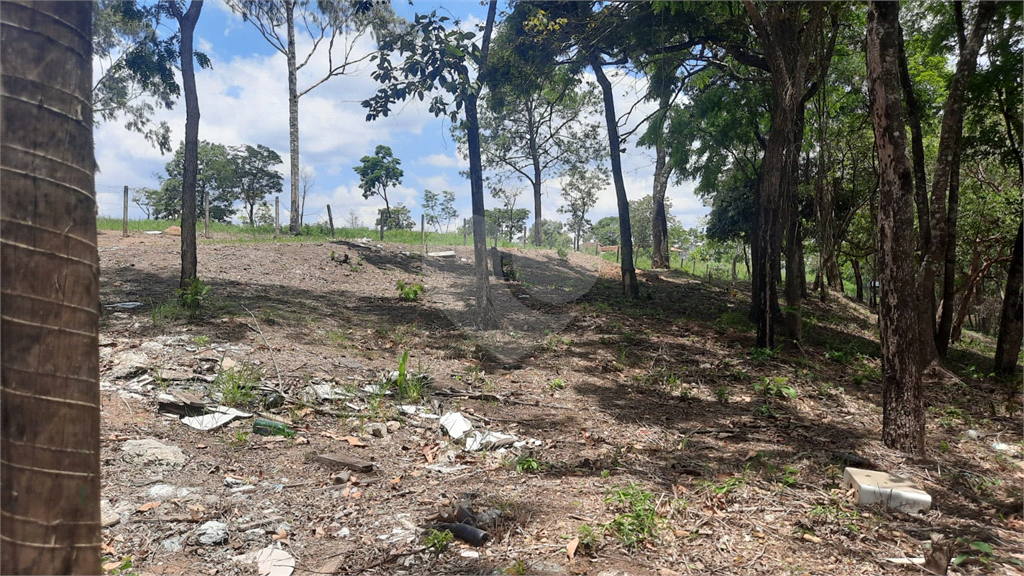 Terreno, 3150 m² - Foto 3