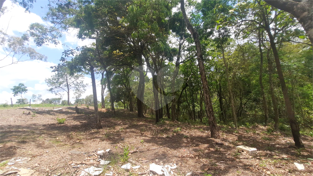 Terreno, 3150 m² - Foto 4