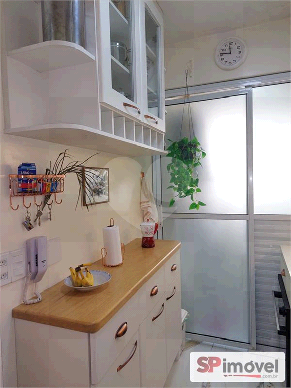 APARTAMENTO em CAMBUCI
