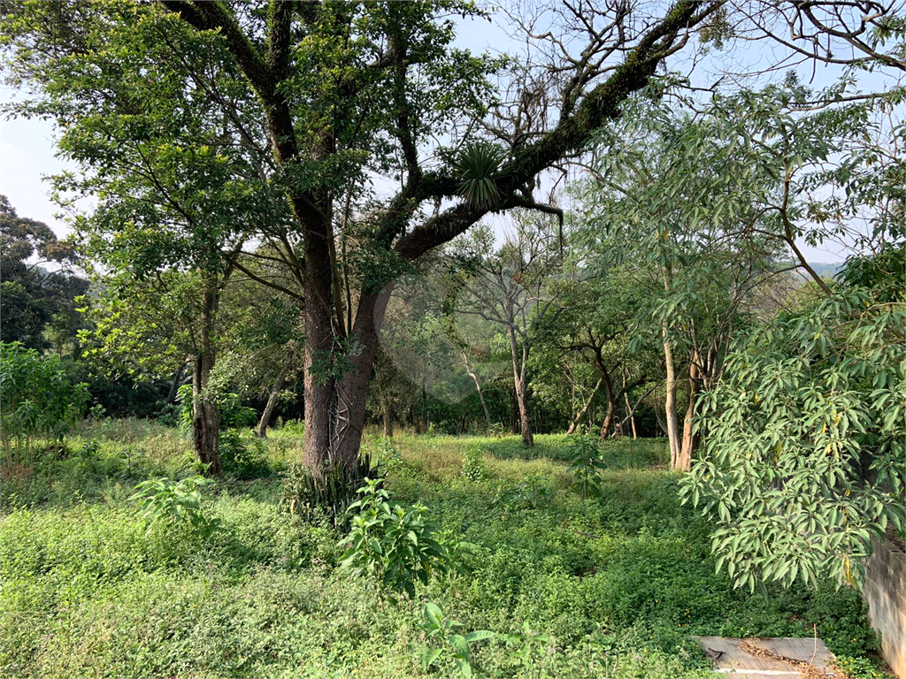 TERRENO em JARDIM COLIBRI