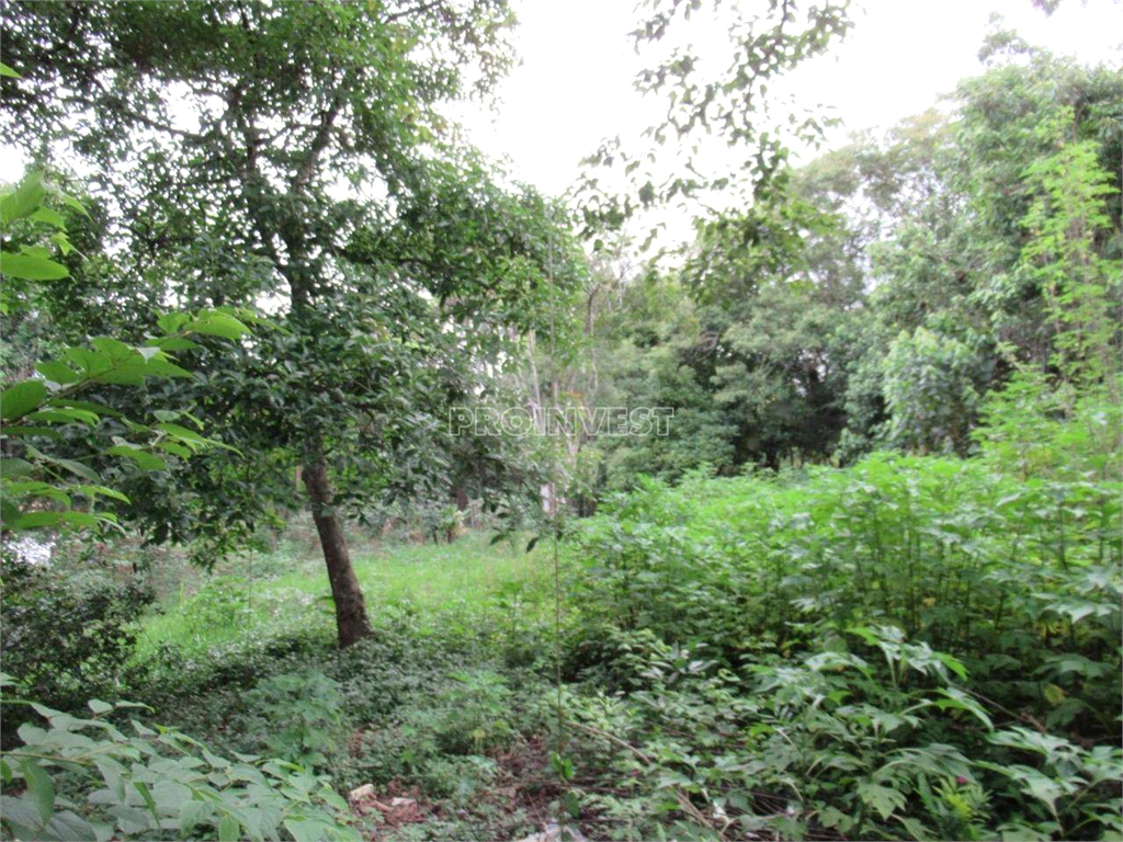 TERRENO em JARDIM COLIBRI