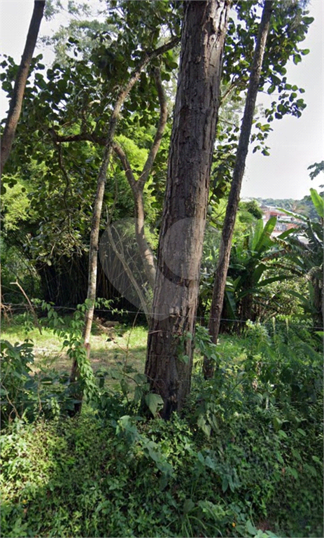 TERRENO em JARDIM COLIBRI
