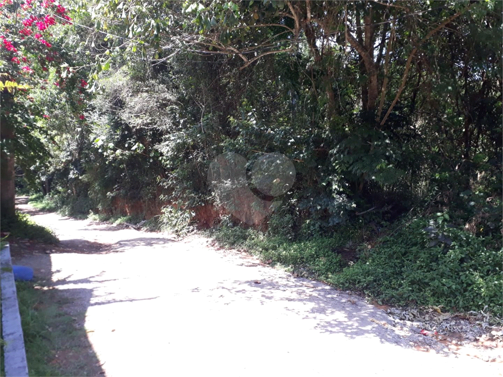 TERRENO em JARDIM COLIBRI