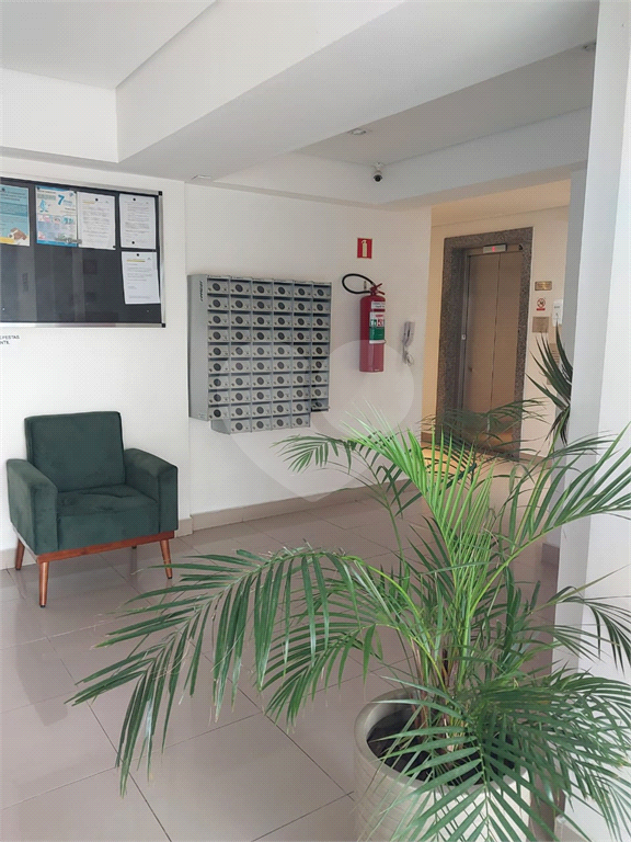 APARTAMENTO CENTRO DE DIADEMA