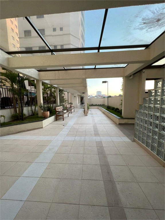 Apartamento com 3 quartos à venda em  SANTA TERESINHA- SP