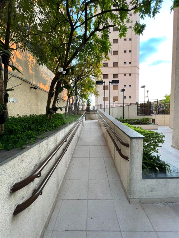 Apartamento com 3 quartos à venda em  SANTA TERESINHA- SP
