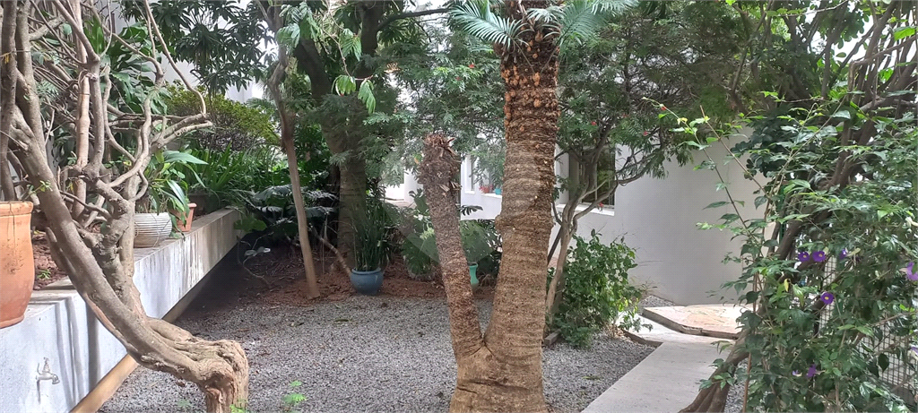 DUPLEX em PINHEIROS