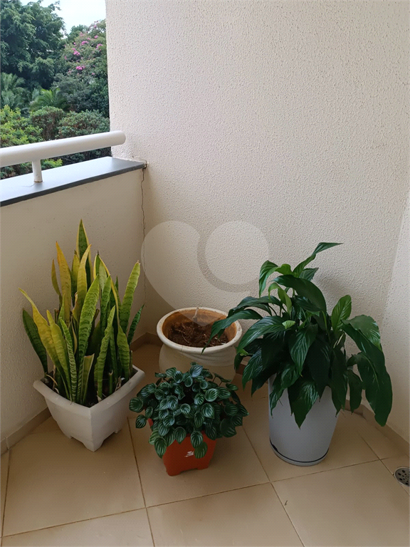 VENDE APARTAMENTO DE 3 DORMITÓRIOS COM SUÍTE , VAGA DE GARAGEM, NA RUA REIMS - CASA VERDE