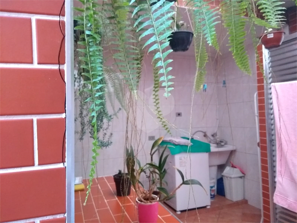 SOBRADO em TUCURUVI
