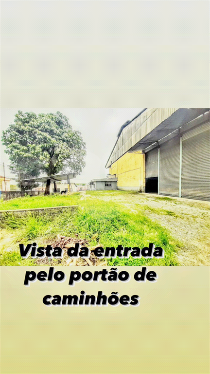 6 minutos Futura estação Metrô Tiquatira