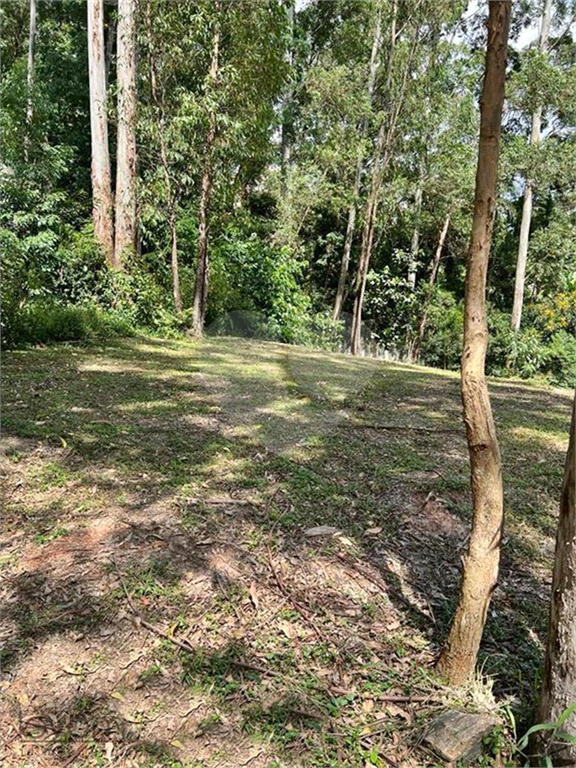 Terreno dentro de condomínio