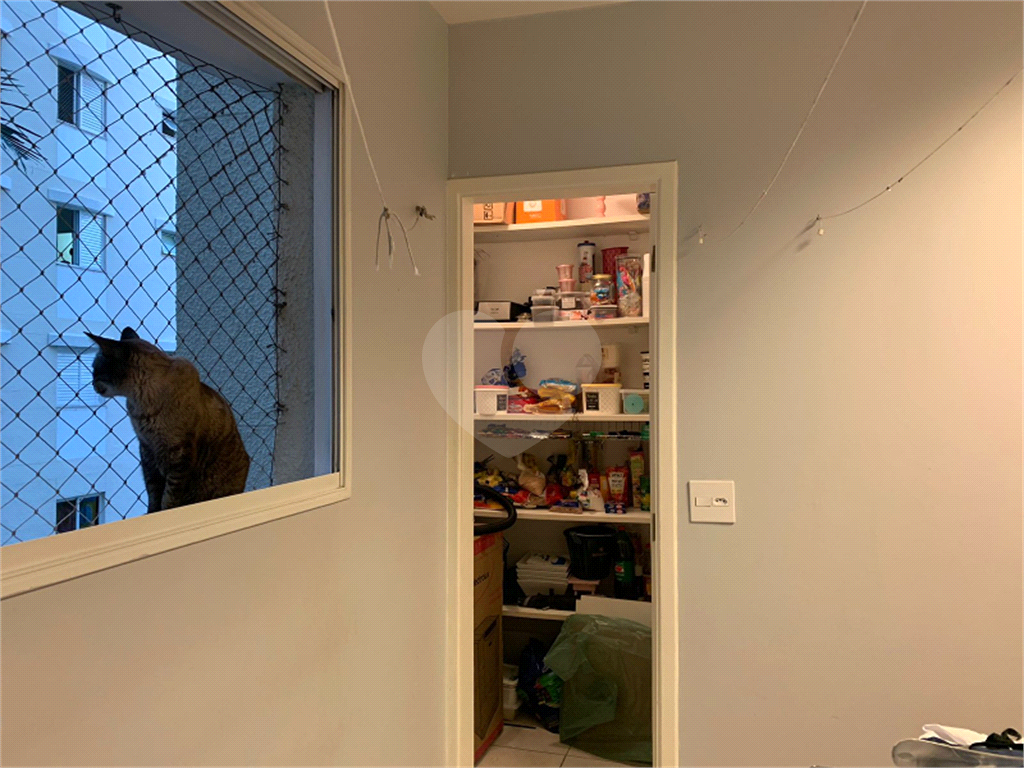 Lindo Apartamento no Bairro Cidade São Francisco