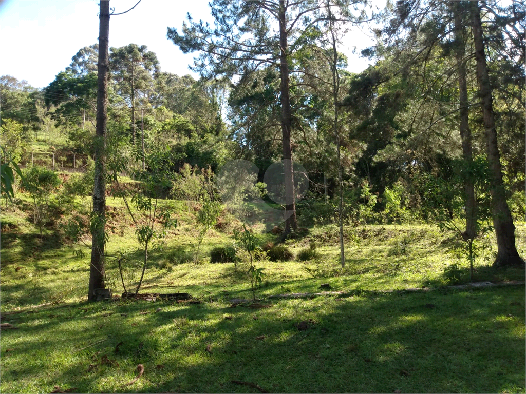 Fazenda à venda e aluguel com 2 quartos, 100m² - Foto 31