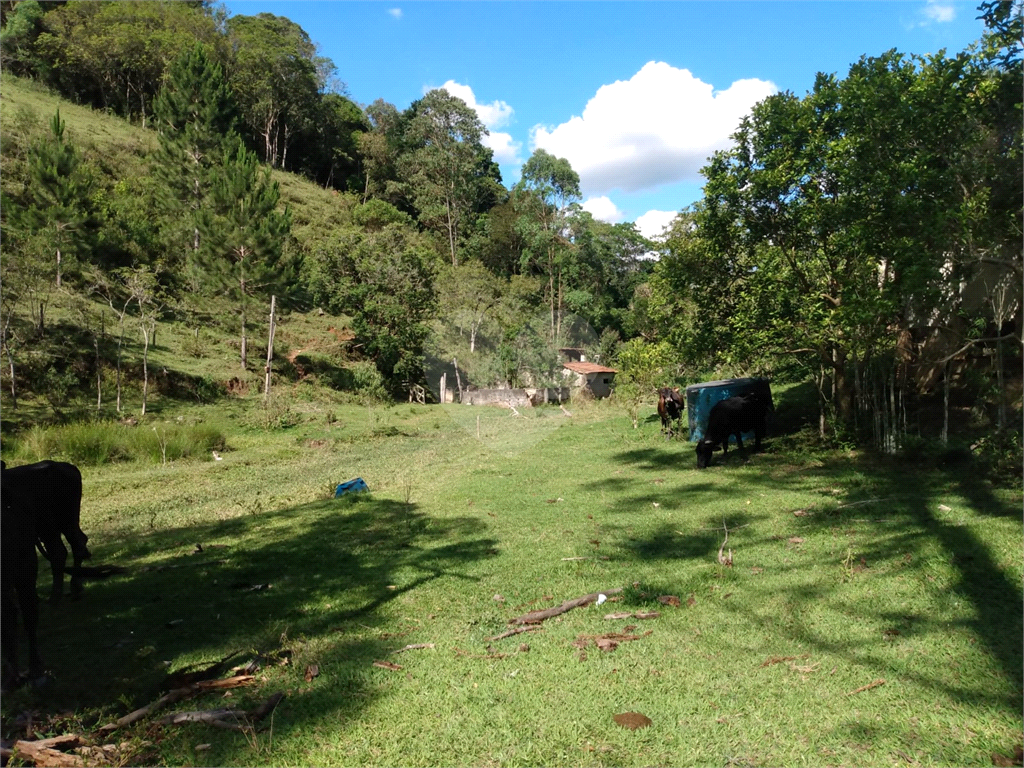 Fazenda à venda e aluguel com 2 quartos, 100m² - Foto 32