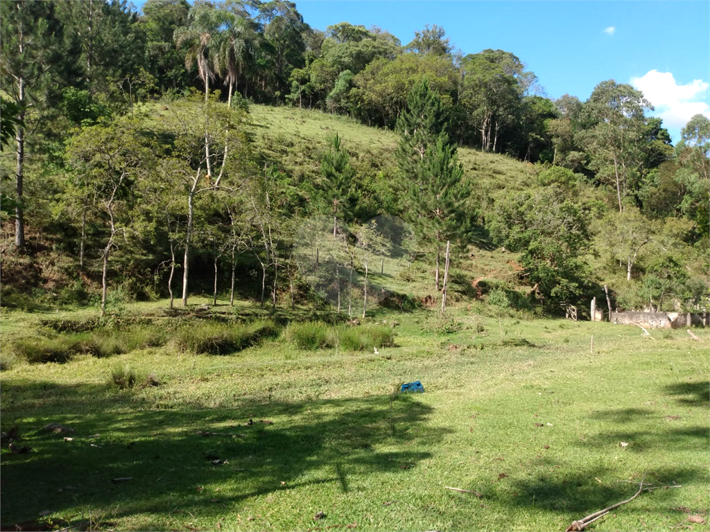 Fazenda à venda e aluguel com 2 quartos, 100m² - Foto 30