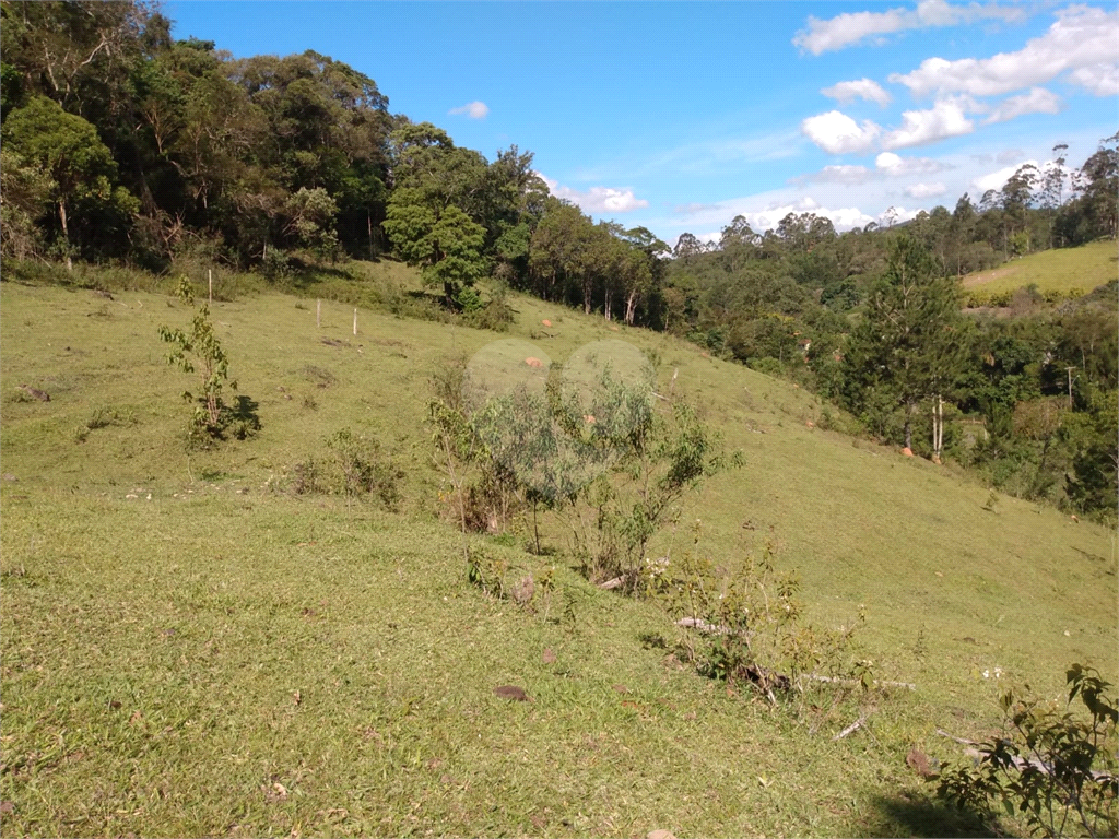 Fazenda à venda e aluguel com 2 quartos, 100m² - Foto 33