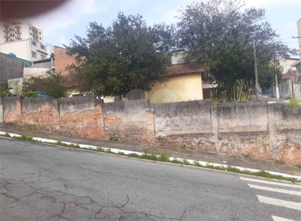 TERRENO em LIMÃO