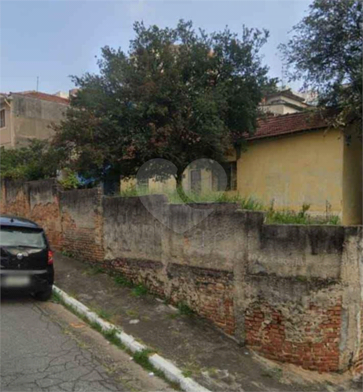 TERRENO em LIMÃO