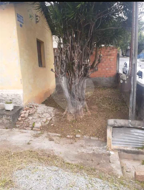 TERRENO em LIMÃO