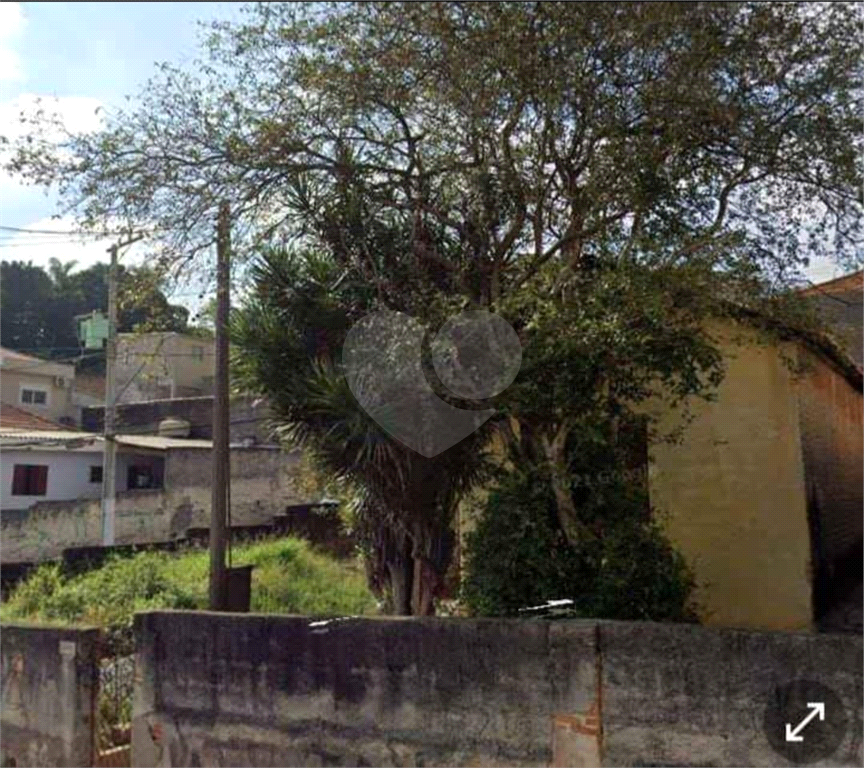 TERRENO em LIMÃO