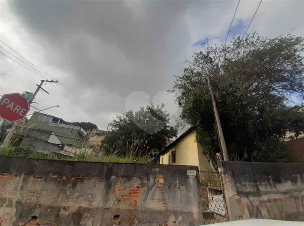 TERRENO em LIMÃO
