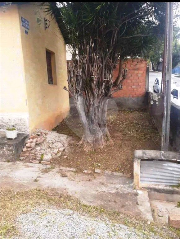 TERRENO em LIMÃO