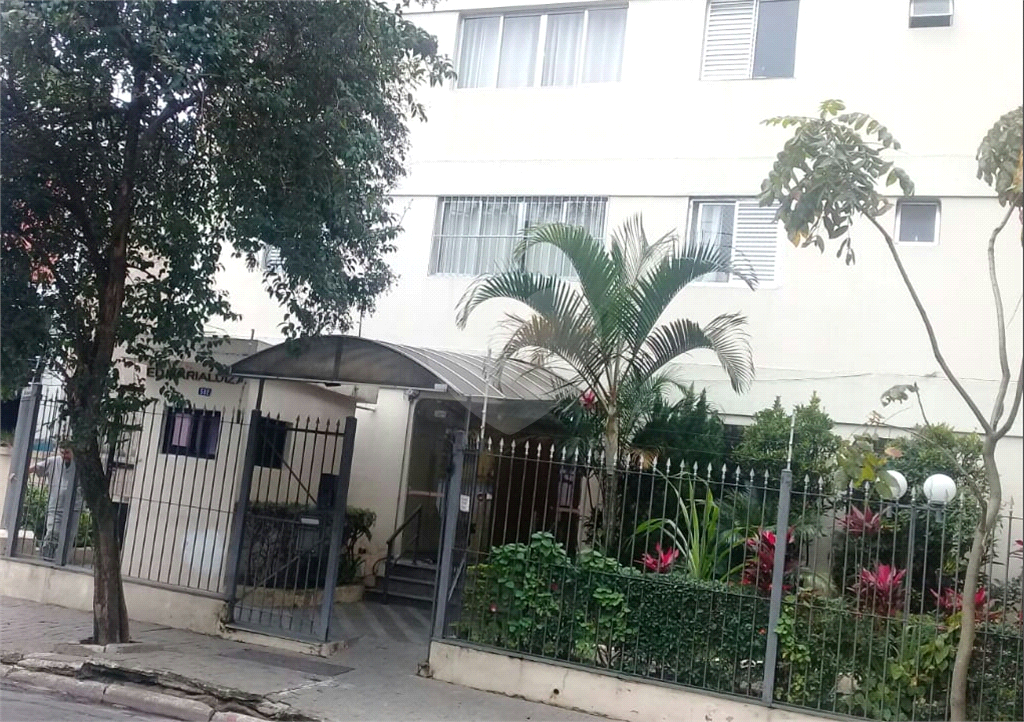 Apartamento no Lauzane