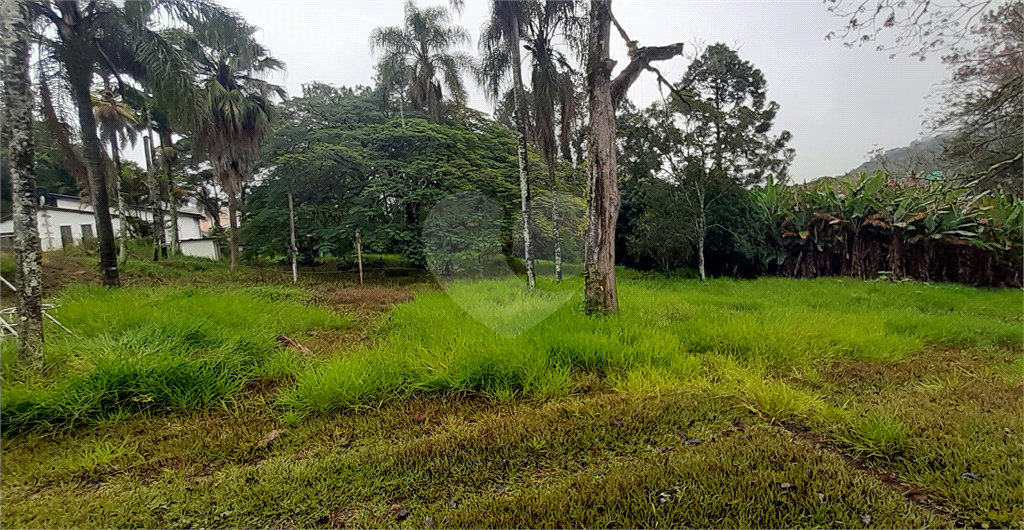 Fazenda à venda com 3 quartos, 220m² - Foto 22