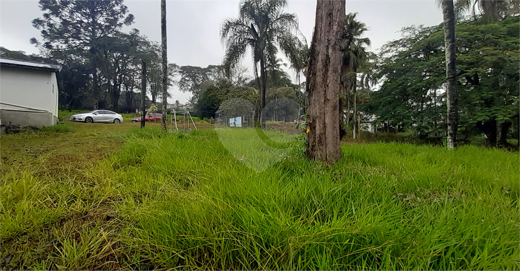 Fazenda à venda com 3 quartos, 220m² - Foto 11