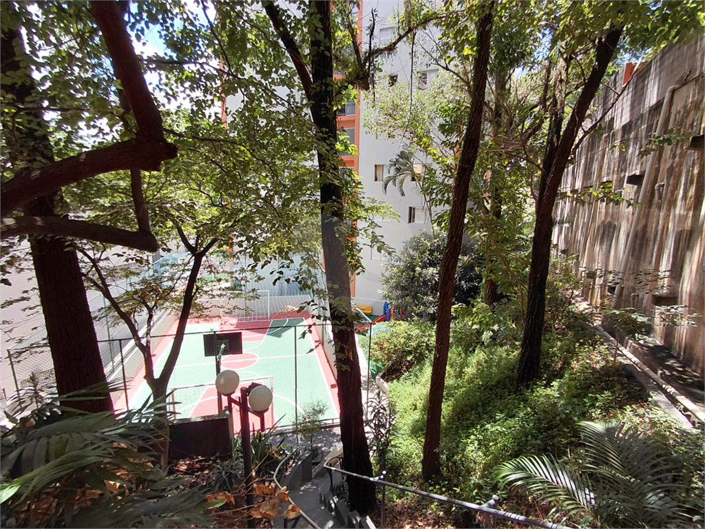 Apartamento de 74m² na Vila Ipojuca ampla sala de estar com vista livre e luz natural com 3 quartos.