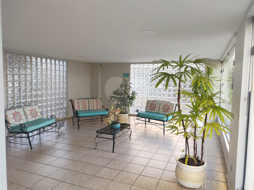 Apartamento Residencial- 3 Dormitórios- Cangaíba - São Paulo