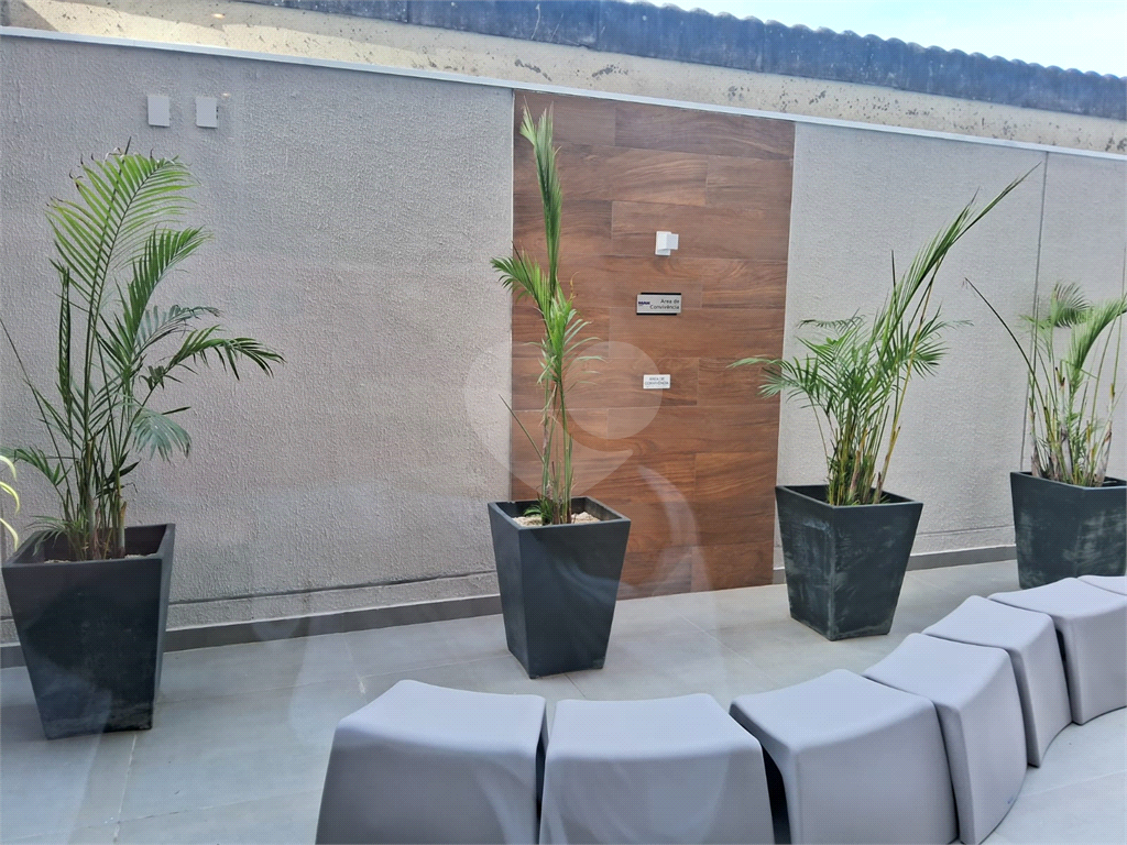 APARTAMENTO em TUCURUVI