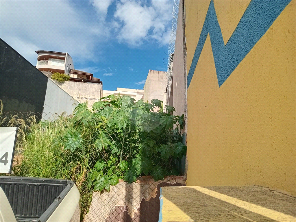 TERRENO em TUCURUVI