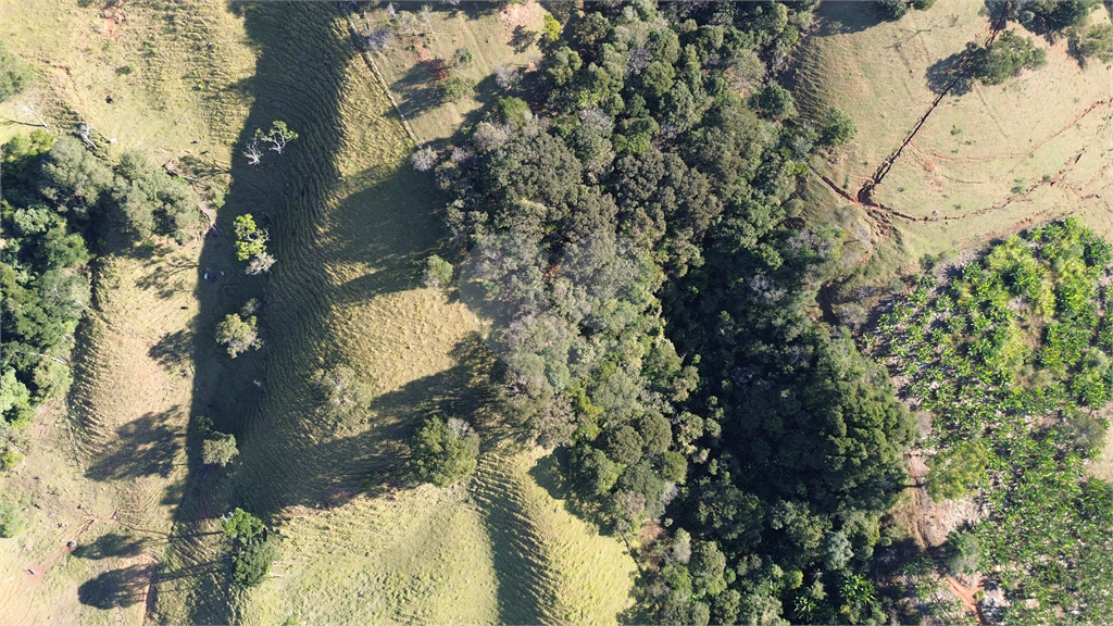 Terreno à venda, 120000m² - Foto 5