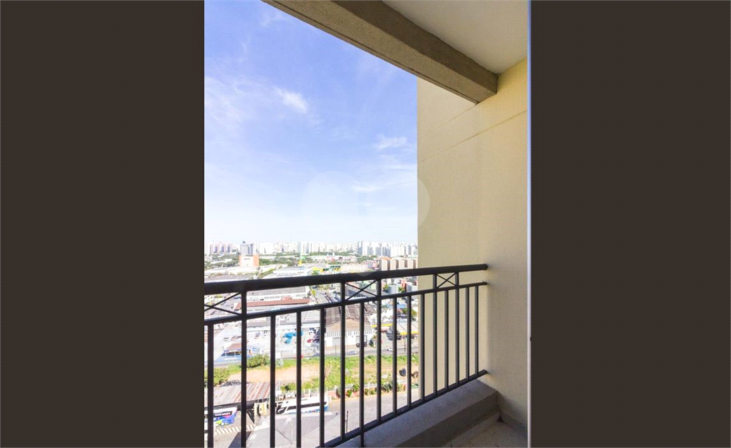 Apartamento Limão