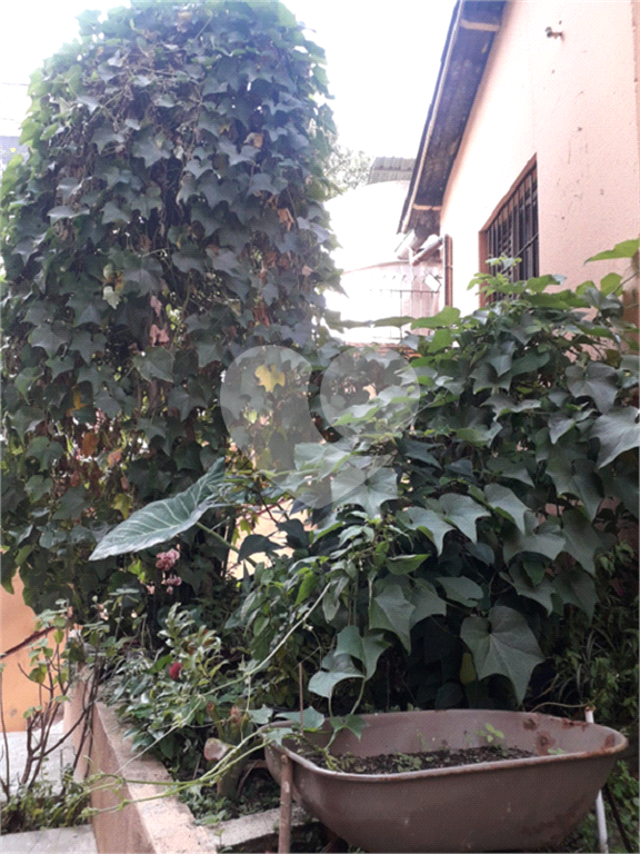 Apartamento na Bela Vista 1 quarto 40 mt
