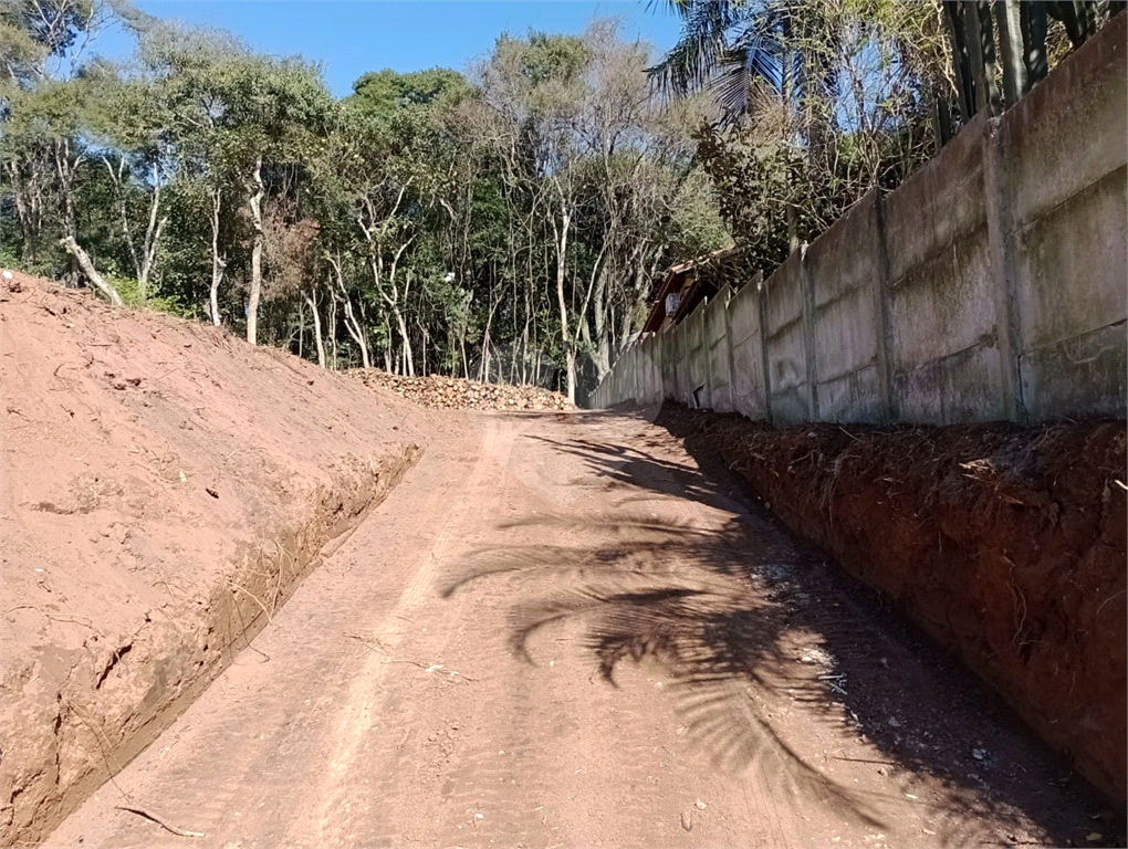 TERRENO em ROSEIRA